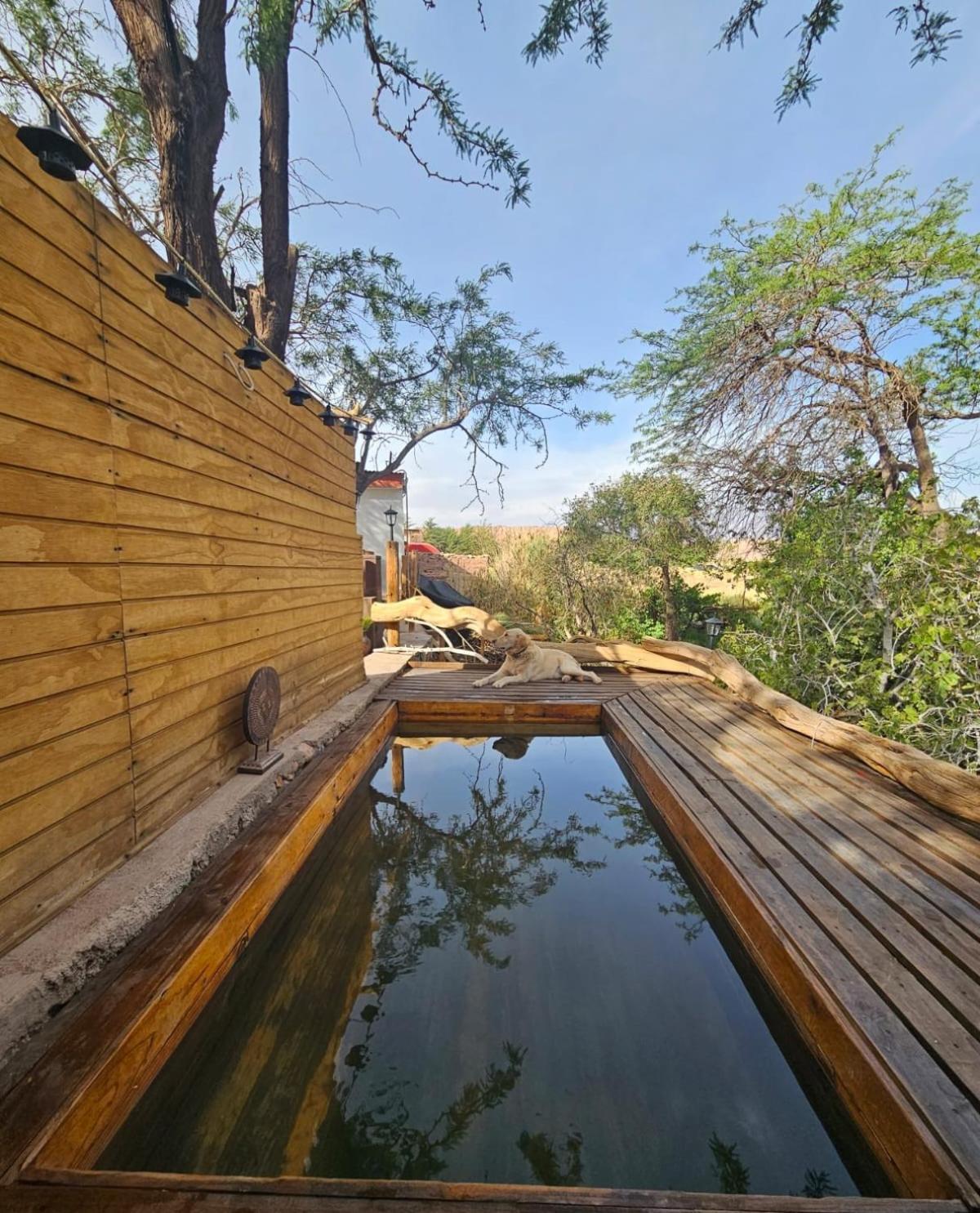 Anka Lodge Quitor San Pedro de Atacama Luaran gambar