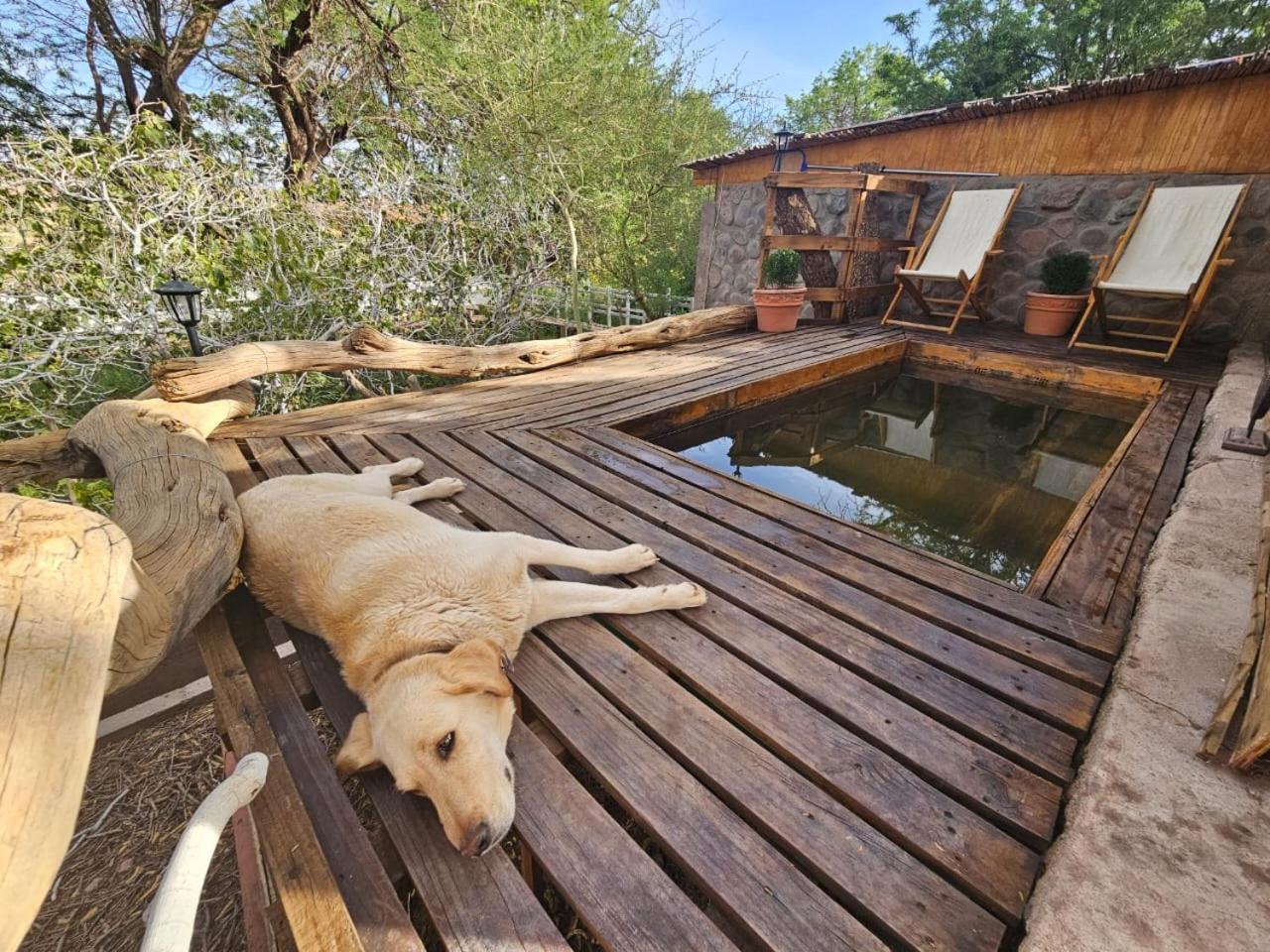Anka Lodge Quitor San Pedro de Atacama Luaran gambar