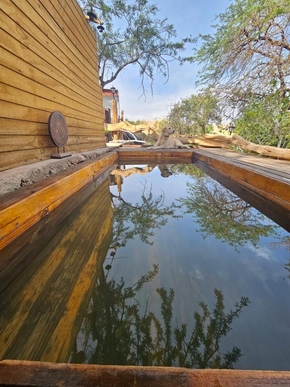 Anka Lodge Quitor San Pedro de Atacama Luaran gambar